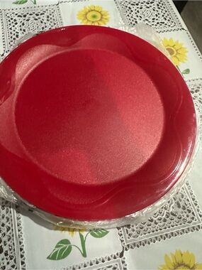 4 Vibrant Red Dinner Plate — Sleek Everyday Serving Plate